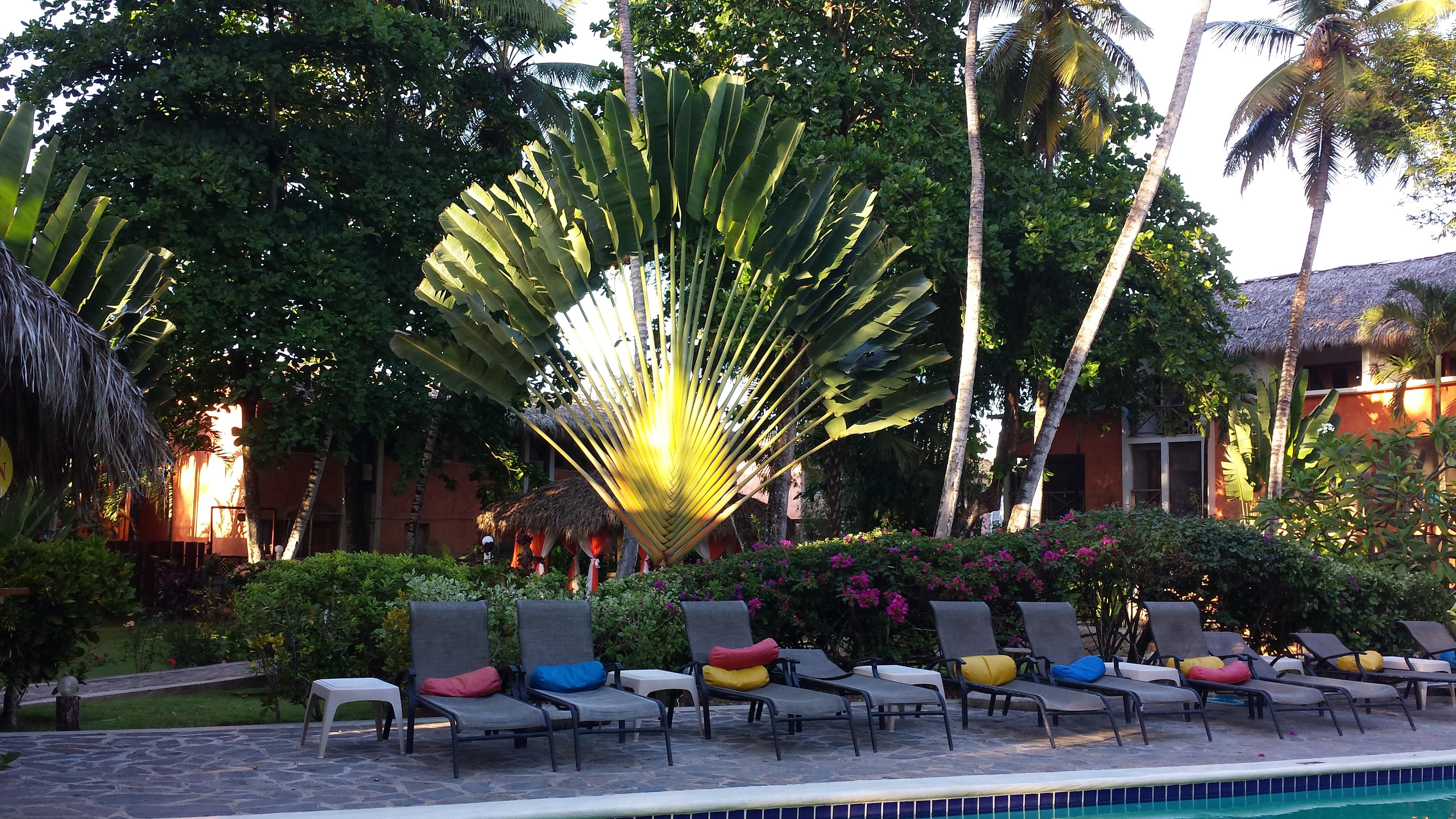 La Residencia Del Paseo Aparthotel Las Terrenas Luaran gambar